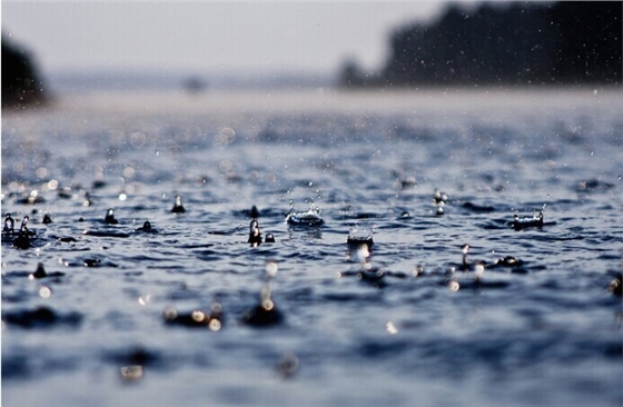 雨水.jpg 雨水.jpg