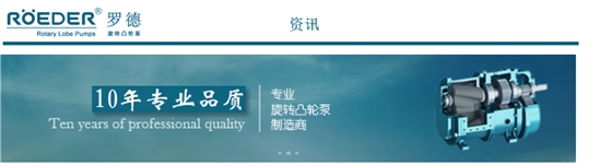 凸輪轉子泵 凸輪轉子泵