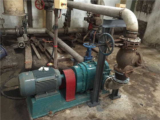 羅德污泥提升轉(zhuǎn)子泵1 羅德污泥提升轉(zhuǎn)子泵1