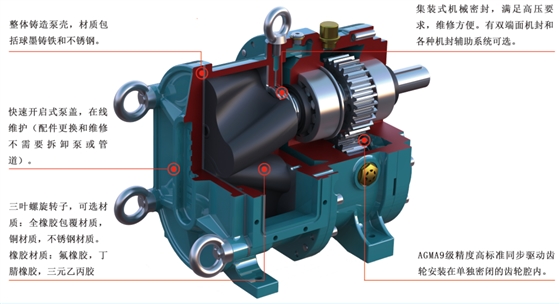 轉(zhuǎn)子泵結(jié)構(gòu) 轉(zhuǎn)子泵結(jié)構(gòu)