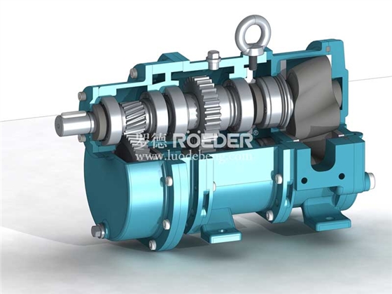 凸輪轉子泵維護 凸輪轉子泵維護