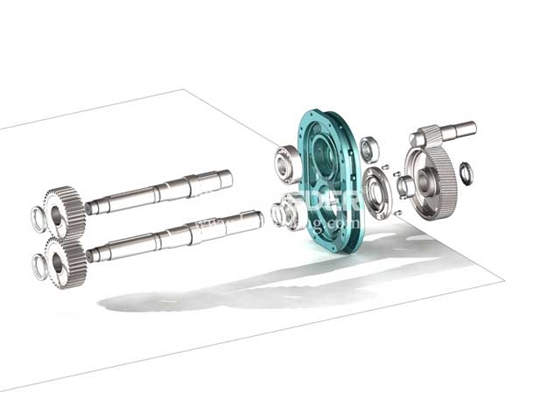 轉(zhuǎn)子泵拆解圖 轉(zhuǎn)子泵拆解圖