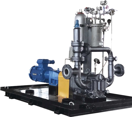 帶機(jī)封沖洗的轉(zhuǎn)子泵系統(tǒng) 帶機(jī)封沖洗的轉(zhuǎn)子泵系統(tǒng)