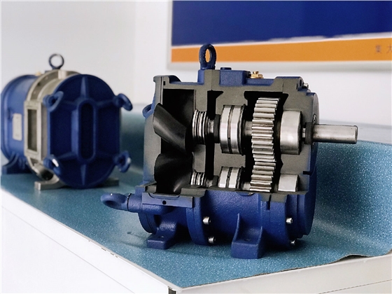 轉(zhuǎn)子泵 轉(zhuǎn)子泵