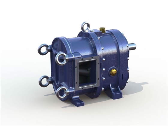 轉(zhuǎn)子泵 轉(zhuǎn)子泵