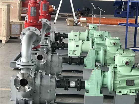 凸輪轉(zhuǎn)子泵 凸輪轉(zhuǎn)子泵