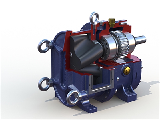 凸輪轉(zhuǎn)子泵泵頭剖面圖 凸輪轉(zhuǎn)子泵泵頭剖面圖