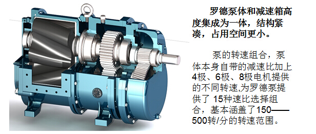 凸輪轉(zhuǎn)子泵 凸輪轉(zhuǎn)子泵