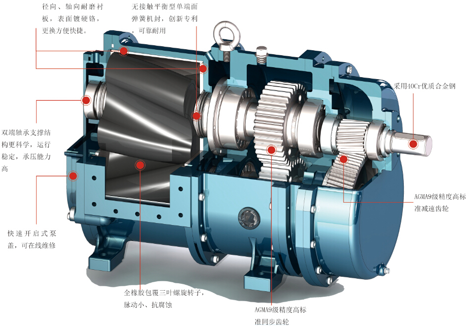 羅德凸輪轉(zhuǎn)子泵結(jié)構(gòu)展示20160111 羅德凸輪轉(zhuǎn)子泵結(jié)構(gòu)展示20160111