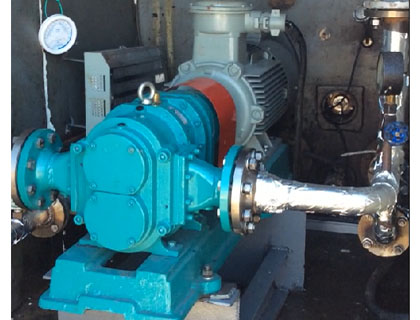 大慶油田含油污水輸送轉(zhuǎn)子泵 大慶油田含油污水輸送轉(zhuǎn)子泵