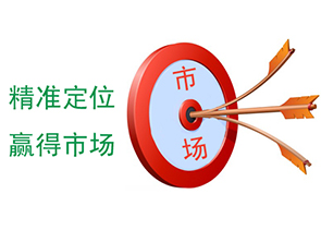 羅德轉(zhuǎn)子泵精準(zhǔn)定位市場 羅德轉(zhuǎn)子泵精準(zhǔn)定位市場