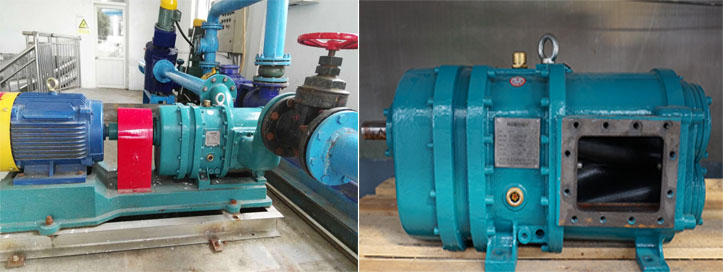 羅德轉(zhuǎn)子泵能替代螺桿泵以及隔膜泵嗎？