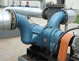 河南凸輪轉(zhuǎn)子泵-地下污油提升泵 河南凸輪轉(zhuǎn)子泵-地下污油提升泵