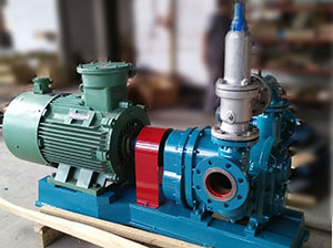 新疆凸輪轉(zhuǎn)子泵-含油污泥輸送泵 新疆凸輪轉(zhuǎn)子泵-含油污泥輸送泵