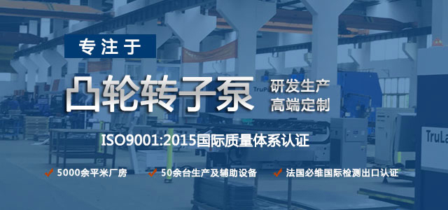 凸輪轉(zhuǎn)子泵生產(chǎn)廠家，專注于凸輪轉(zhuǎn)子泵的研發(fā)生產(chǎn)，高端定制