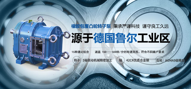 源于德國魯爾工業(yè)區(qū)的彈性體包覆凸輪轉(zhuǎn)子泵. 秉承嚴謹科技，謹守良工久遠